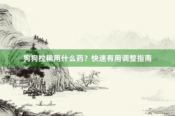狗狗拉稀用什么药？快速有用调整指南